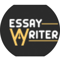 Essay writer IE